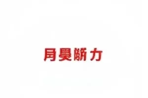 第二封律师函文件外观的示意封面