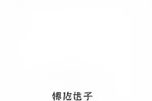 被撤下的封面原图留档画面的封面